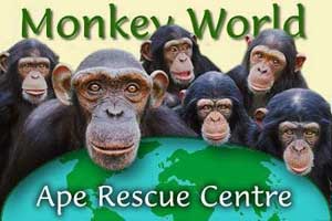 Xây dựng trung tâm cứu hộ khỉ tại vườn quốc gia Cát Tiên