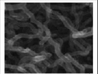 TS Nguyễn Chánh Khê và sản phẩm carbon nanotube siêu lợi nhuận