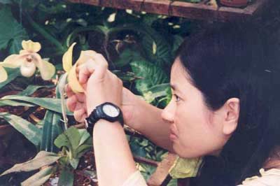 Nhân giống hai loài lan hài quý hiếm