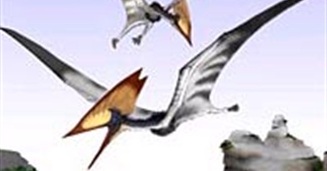 Thằn lằn bay dùng mào để hấp dẫn bạn tình