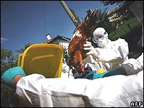 Glaxo có vaccine ngừa H5N1