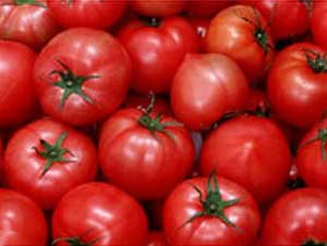 Ăn nhiều cà chua có khả năng tăng miễn dịch