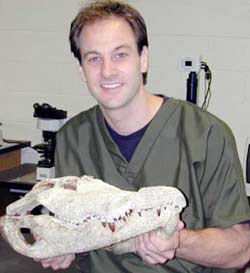 Chu kỳ sinh học của loài khủng long Tyrannosaurus