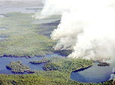 Biến đổi khí hậu - “thủ phạm” gây cháy rừng và nắng nóng bất thường