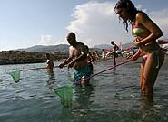 Những người đi bắt sứa ở Salobrena, nam Tây Ban Nha.