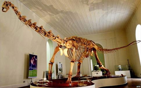 Brazil phát hiện hóa thạch loài khủng long mới