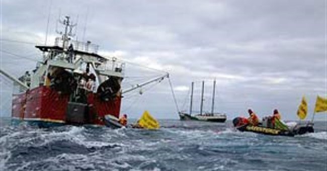 Cuộc chiến đấu của tổ chức Hoà Bình Xanh