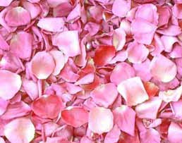 Các bài thuốc từ hoa hồng và hồng hoa