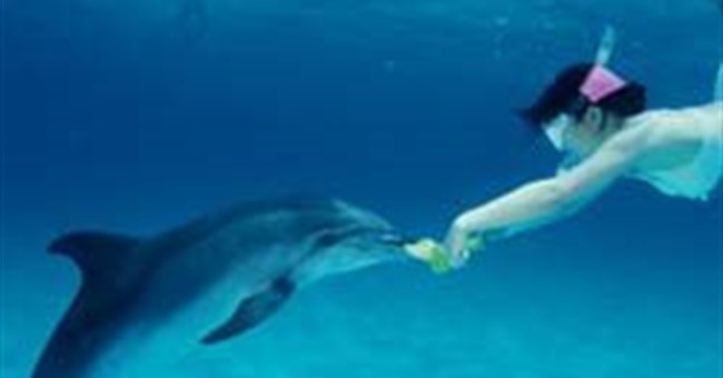 Vì sao có người lặn sâu mà không cần bình ôxy?