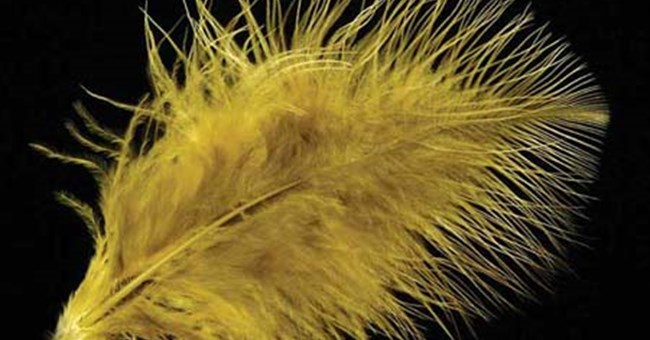 Vải làm từ rơm rạ và lông gà