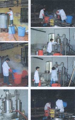 Chất ngọt thế hệ mới thay thế đường kính