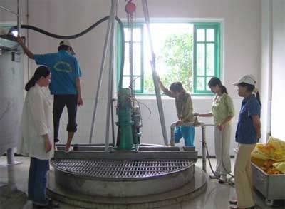 Chất ngọt thế hệ mới thay thế đường kính