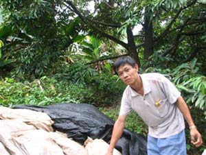 Ngồi dưới gốc cây nghiên cứu khoa học