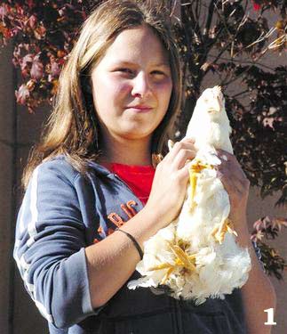 Cô bé Ashley Brendle giới thiệu con gà 4 chân - Henrietta