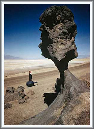 Seta de piedra gigante en California, EE.UU.