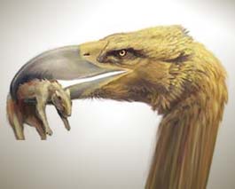 Phát hiện hóa thạch một loài chim ăn thịt khổng lồ