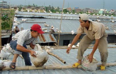 Bão Cimaron hướng vào Đà Nẵng - Quảng Ngãi