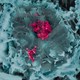 Tái tạo virus từ genom người.