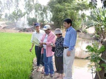 Bệnh vi-rút vàng lùn, lùn xoăn lá trên lúa: Bệnh mới...