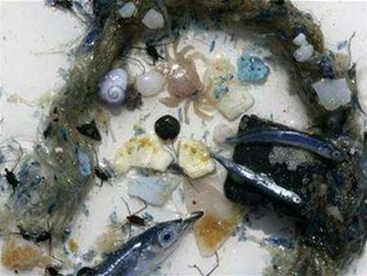 Thái Bình Dương với "biển rác nhựa"