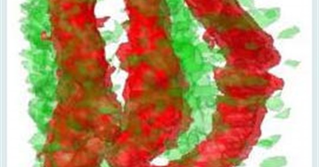 Phát hiện ra nơi và cách thức hạt giống dự trữ sắt.