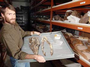 Phát hiện hộp sọ bò sát 70 triệu năm
