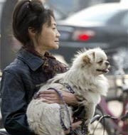 Bắc Kinh hạn chế nuôi chó