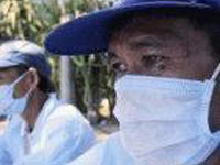 Indonesia: Thêm 2 người nhiễm cúm gia cầm