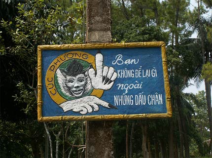 VN - một trong các nước có tốc độ phục hồi rừng nhanh nhất thế giới