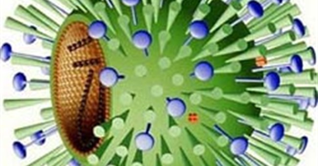 Khám phá ra vi rút gây bệnh cúm