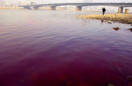 Trung Quốc: sông Hoàng Hà đổi màu vì ô nhiễm