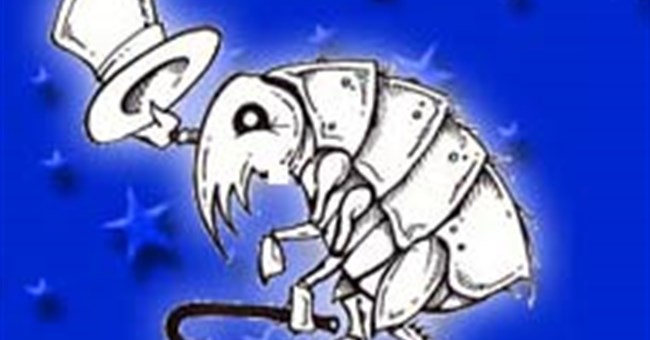 Bọ chét làm... xiếc