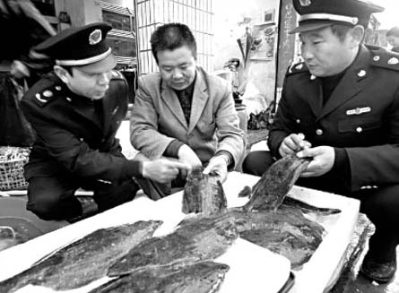 Trung Quốc: đến lượt cá nhiễm hóa chất gây ung thư