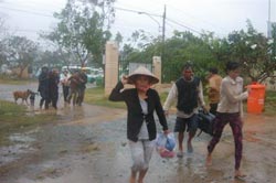 Nam Bộ bàng hoàng