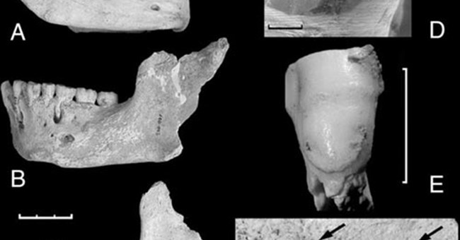 Người Neanderthal từng ăn thịt người chết