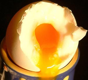 Bà bầu có cần ăn trứng ngỗng?