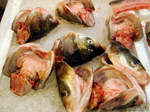 Hong Kong: cá có chất gây ung thư