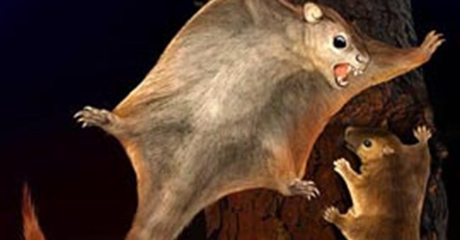 Thú cổ đại bay lượn như chim