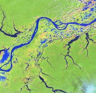 Những câu chuyện khoa học kỳ lạ nhất 2006