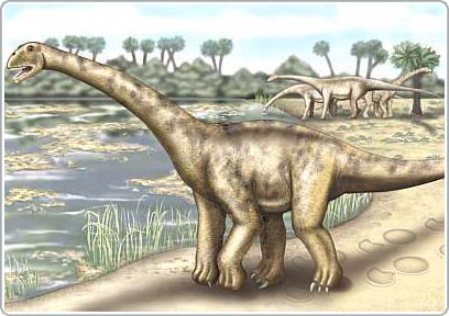 Phát hiện hóa thạch khủng long khổng lồ tại Tây Ban Nha