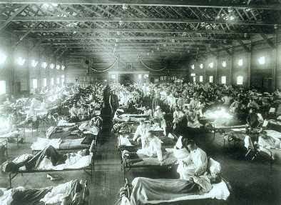 Một dịch cúm mới sẽ gây tử vong 81 triệu người trên thế giới?
