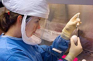 TQ bào chế thành công vắcxin mới ngừa H5N1 dành cho người
