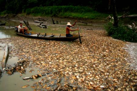 Cạn kiệt Amazon