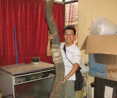 Thêm căn cứ về loài thú khổng lồ có ở Việt Nam