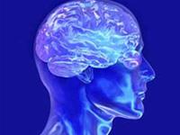 Tìm ra “điểm nhân ái” trong não
