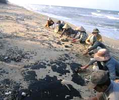 Tràn dầu ở biển Đà Nẵng, Quảng Nam: Không biết dầu đến từ đâu