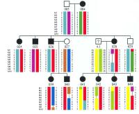 Hi vọng có được cuộc kiểm tra gene “tiền sanh” an toàn