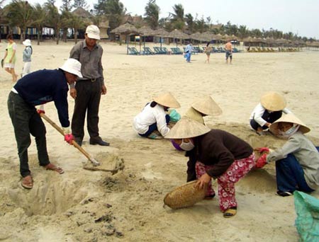Thiệt hại do tràn dầu: Miền Trung kêu cứu!