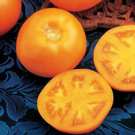 Liệu cà chua quýt có phải là loại tốt nhất?