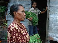 Khi lá phổi ngập khói